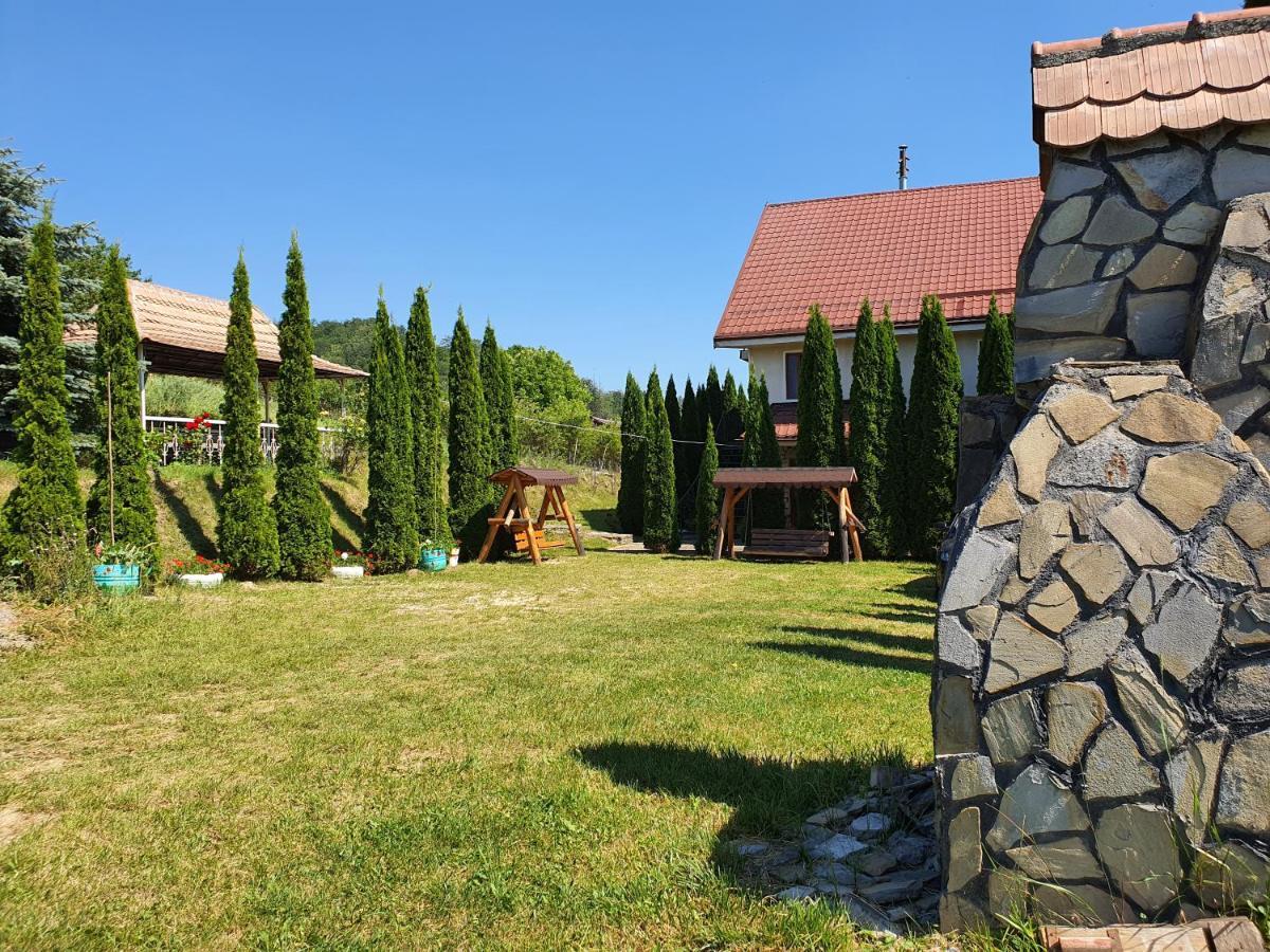 ZărneştiCasa Carpatiアパートメント エクステリア 写真